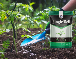 Granular Organic Manure