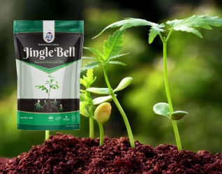 Plant Growth Regulators